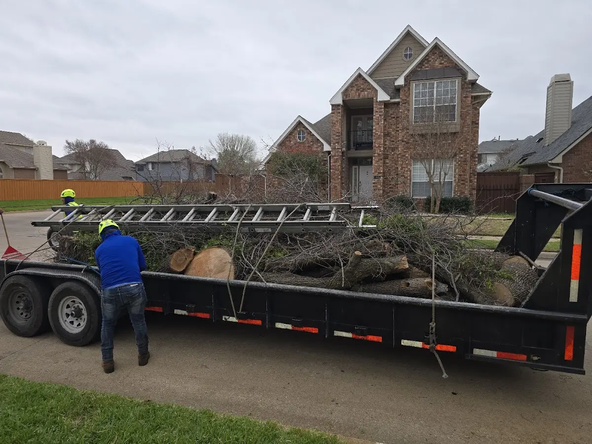 Expert Tree Removal with proper safety equipment in Magnolia
